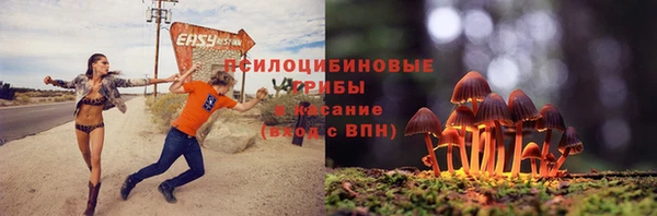 амф Пересвет