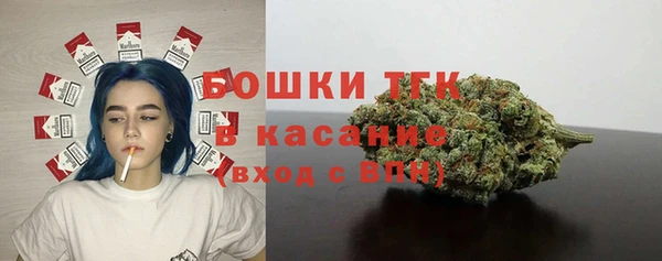 амф Пересвет