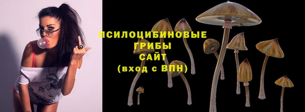 амф Пересвет