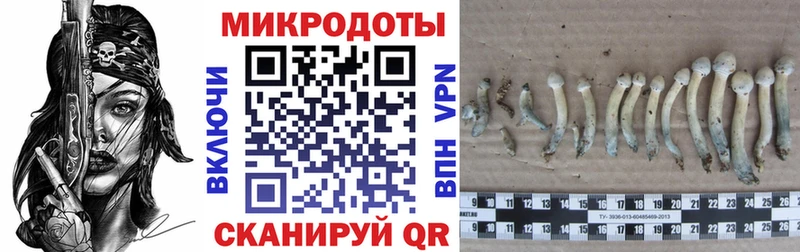 МЕГА tor  Струнино  Галлюциногенные грибы Cubensis  где можно купить наркотик 