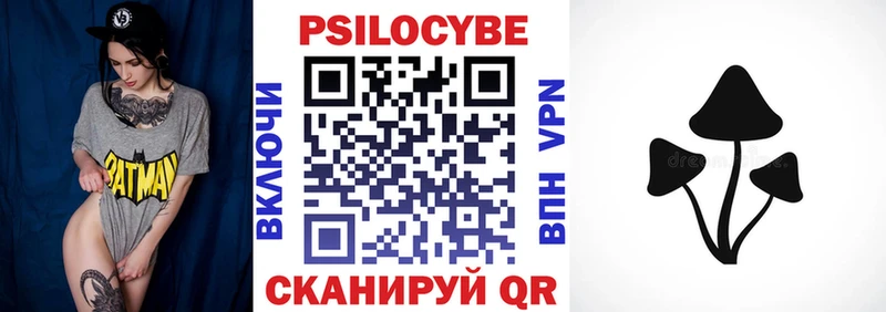 Псилоцибиновые грибы Psilocybe Струнино